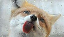 形容小孩在幼儿园玩得开心的句子