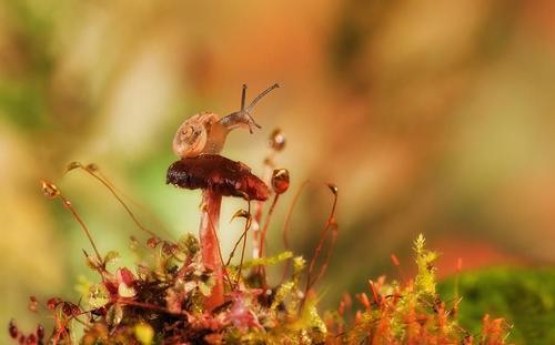 11.爱不是避难所。如果您想避难，您将被驱逐出境。爱情不是庇护所，想躲避，便会被驱逐出去。