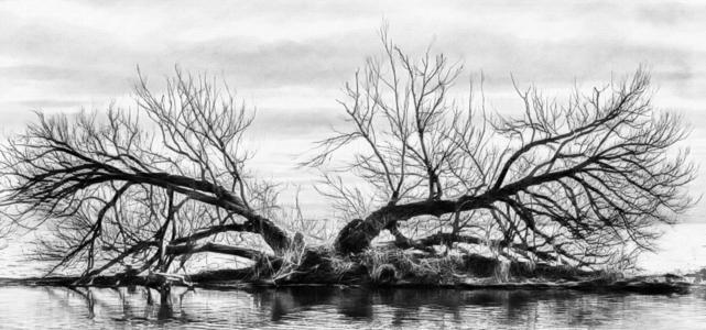 11.无论您多大年纪,无论您的家人和朋友如何敦促您,都不要随便对待婚姻。婚姻不是纸牌游戏。随机播放是一个巨大的代价。