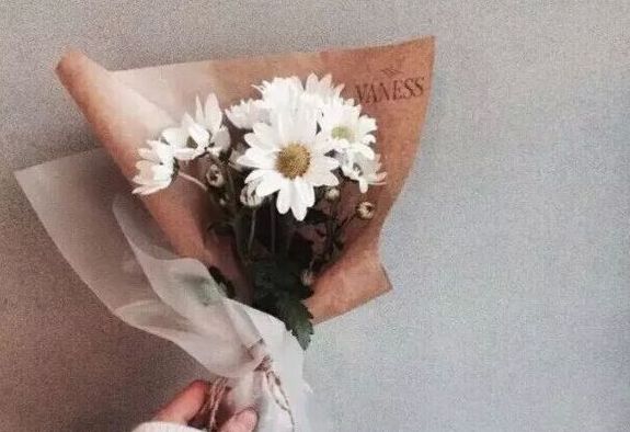 句子不错，但不能太长85句子