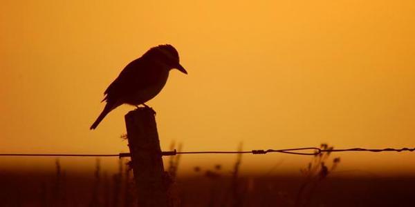 关于生活真相的审美句子