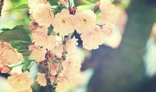 亲人开心的玩的句子大全