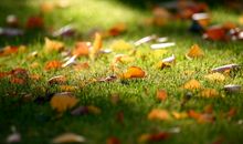 写给姐开心快乐的句子