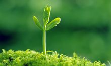 济群法师幸福篇禅语20句（三）