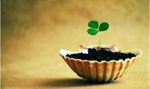 济群法师幸福篇禅语20句（二）