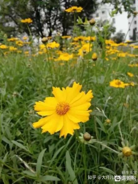 11.在成千上万的世界中，摆在我们面前的是各种问题。他们穿着凌乱的衣服，踩着凌乱的脚步，有时使我们茫然。迷雾笼罩了我们，我们的情感亲密关系将影响我们的主观思维并影响我们的判断力。