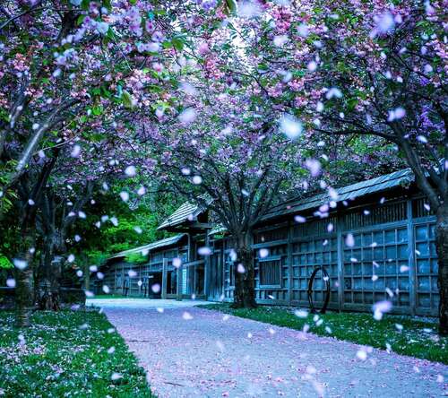 9.您好,老师,您是孩子们打好基础的基础。幼儿园仍然是我们的故乡,但您的疲倦身材深深地铭记在我的心中。好漂亮