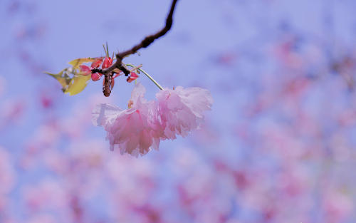 10.事情已经过去了很多很多秒，所以不用担心！在您能原谅我之前，您要我做什么？