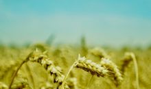 亲情正能量的句子说说心情