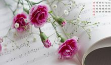 让人开心的句子有哪些