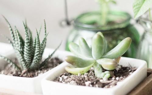 12.家庭情感是人类不能放弃的事情,因为只有这样,我们才能得到亲人的照顾,并在我们年轻的时候过上好生活!