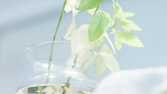 11.家庭感情是一串挂在脖子之间的钥匙,它们打开了悲伤的门窗。在我抒情的小歌中,家庭的感情在眉毛和期望之间,在灿烂的微笑中。