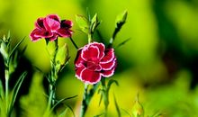 回家开心的搞笑句子说说心情