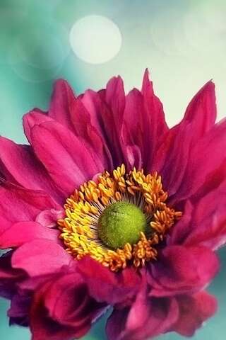 12.感谢您不浪费时间，感谢您的所有相遇和陪伴，并感谢您的每个阶段。