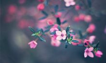 关于在亲情面前与友情的句子