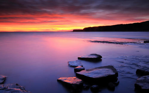 12.它的叶子没有花的陪伴,变得更加苍白;没有鸟的玩耍,它的树枝变得越来越孤独。