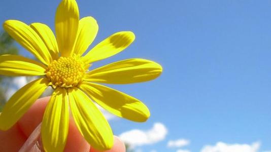 11我们与家庭之爱密不可分,就像不能从纤细的绳索上挣脱的放风筝一样。