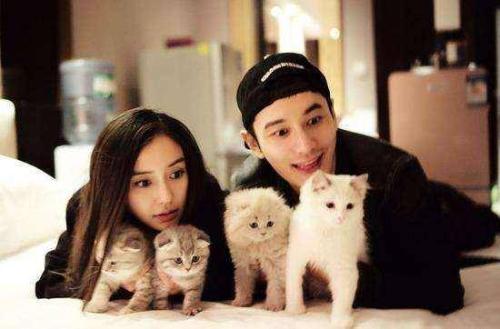 11.消除偏见和嫉妒,生活实际上很简单;过滤掉计算和比较,生活实际上是非常美好的;满足与慷慨,生活不是单调的;除了猜疑之外,生活实际上很幸福。愿您的生活简单而美丽,幸福而多彩。