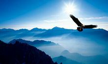 关于目标理想的人生感悟