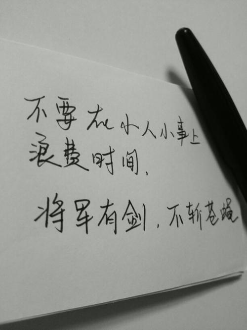 12.勤奋,不要浪费时间,一直做有用的事情,并放弃所有不必要的行动。