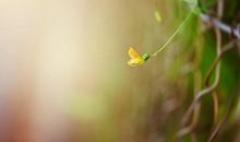 写亲情重要的句子