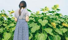 用衬托手法表现亲情的句子