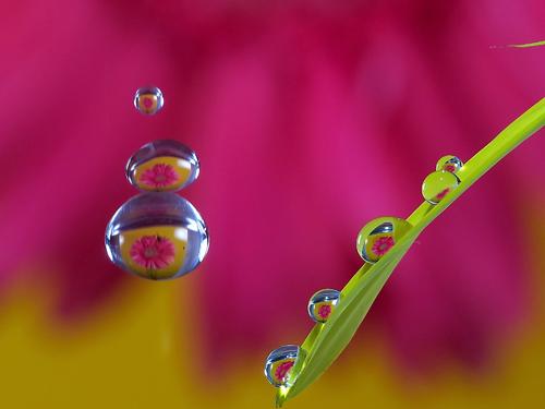 9.幸福,结果是有声音。人们总是在清醒时倾听。只有当您神智清醒时,您才能放心去爱值得永久收藏的幸福。