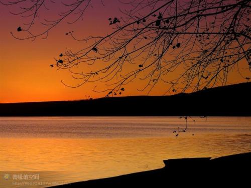 12.早晨升起的五颜六色的蝴蝶使我想念你。早晨升起的麻雀缠绵，把我的爱送给你。早晨温暖的阳光带给我您的喜悦，以及早晨升起的雨露。亲爱的，给你我的见证。早上好。
