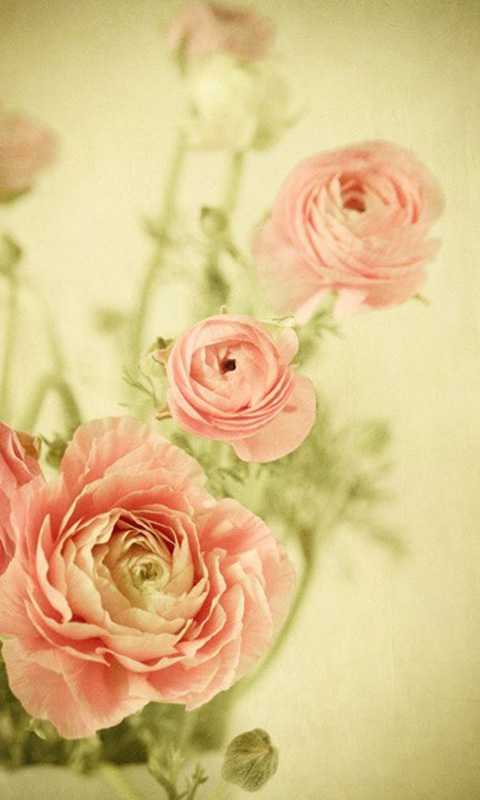 12.家庭船应倚靠在爱的港湾,家庭建筑应建立在爱的基础上;