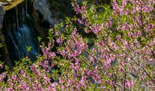 形容开心时光的句子说说心情