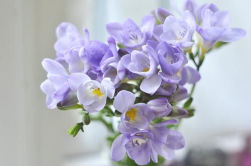 12.作为一生中的男人，他是儿子，还是父亲。上半生的儿子是父亲的影子，下半生的父亲是儿子的影子。