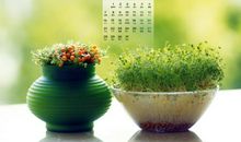 周末开心的句子 周末心情好的短句子