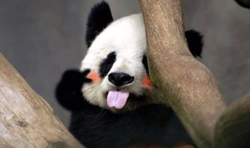 12.未来是多变的，所以我不期望它。我只是做现在并完全意识到这一点。