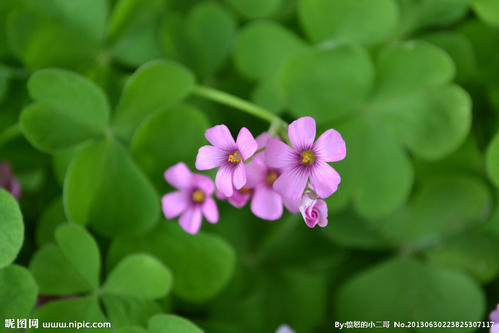 12.新天润，一年后回到老地方。