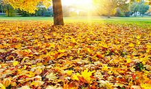 亲情治家经典句子