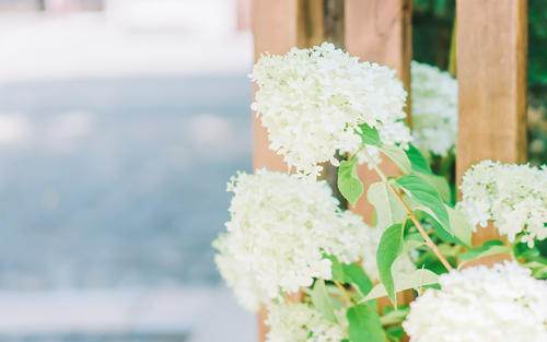 12.真爱是纯洁的爱。在我们身边到处都有真爱。