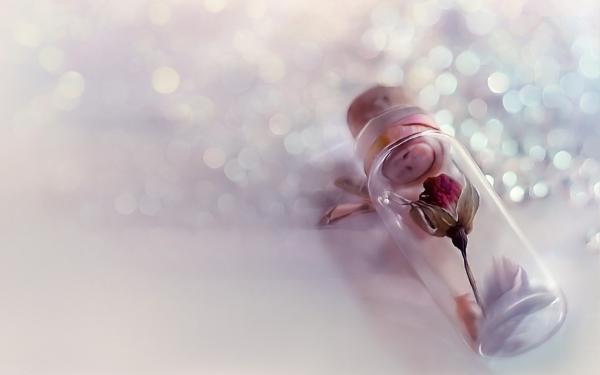 谈论对孤独的感受