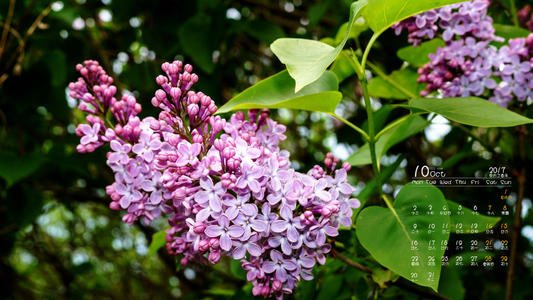 11.毕竟，我已经太丑了，您的成绩会更好吗？