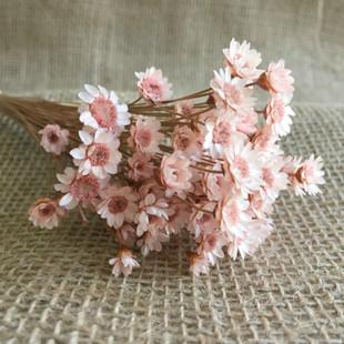 10.每天放学后回到温暖的家中,都会闻到强烈的食物味。有时,当我完成作业的一半时,我会听到妈妈大喊“开始吃饭”。这时候,我很高兴。哈哈哈的烹饪水平是一流的,每当同学和朋友每次品尝哈哈哈的手工艺时,我都会说我“真的很高兴”。当时,我感到非常自豪。在餐桌上,我大吃一口甜美可口的食物,并赞扬了哈哈哈的工艺。我的母亲总是微笑着。我想她一定很高兴。