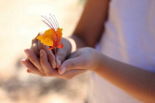 20.后来我了解到，没有自我的人无论走到哪里都找不到自己。孤独的人，不管他们是谁，仍然很孤独。 -独木舟“深海之星”