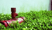 体现出亲情的句子