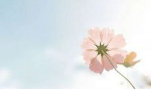 富有哲理亲情的句子