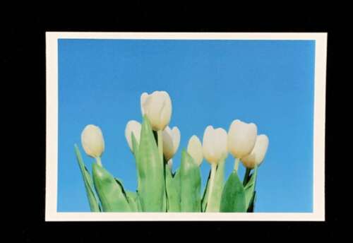 15.认真地说,我真的爱你,但我不会与你取得任何成果。