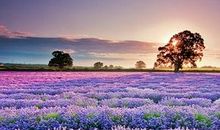 回忆感动的句子亲情