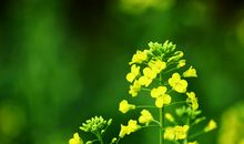 和朋友开心的玩的句子 朋友一起开心的玩的句子