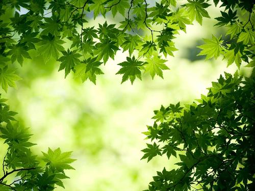 12.当您不开心或心情不好时，亲吻时会露出微笑。即使您旁边有一个男孩，您也是如此亲切，因为它是女朋友。