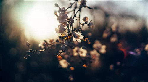 关于男人的座右铭