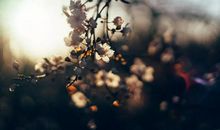 关于做人的座右铭