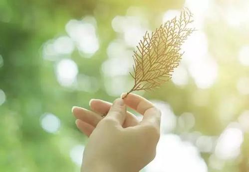 关于人类的座右铭1