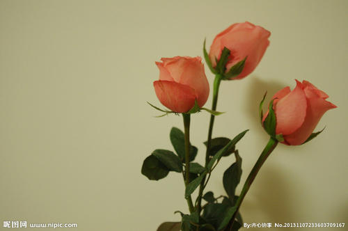 11.打个招呼，小叔，您太巧了，以至于您将在7月7日见面，并且将会有爱人来寻找。由于它是如此的巧妙，我安排了每个人都热闹起来，我将发送SMS红包，无论谁看到都会高兴。